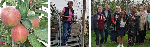 Banner Raadts 06.09.2019