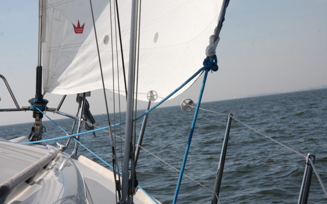 Business-Segeln auf dem IJsselmeer