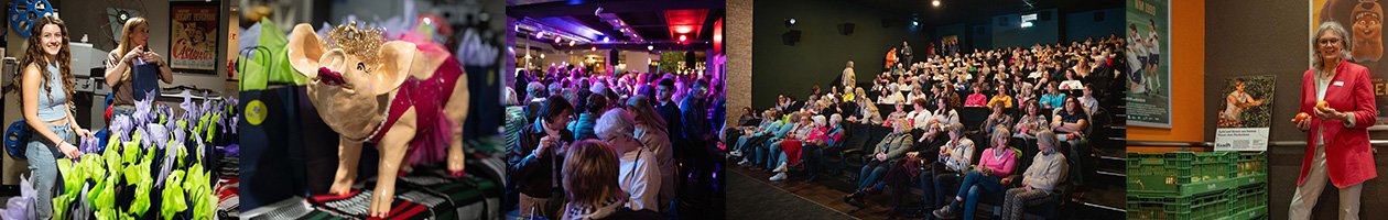 FrauenFilmNacht – Filmklappe die 12.