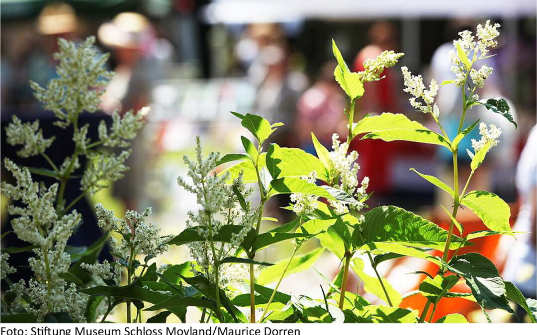 Museum Schloss Moyland – GartenLeben und Kräuterfest 29.-31.5.2026