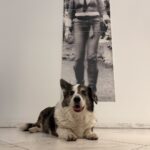 Führung Hund trifft Kunst - Katharina Sieverding im Dialog mit Joseph Beuys