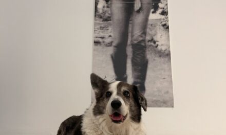 Führung Hund trifft Kunst