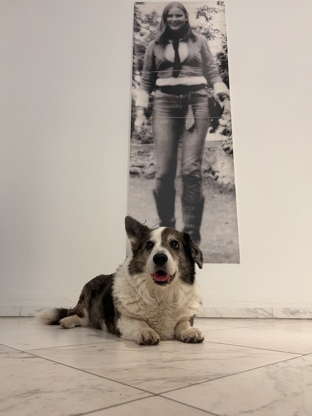 Führung Hund trifft Kunst - Katharina Sieverding im Dialog mit Joseph Beuys
