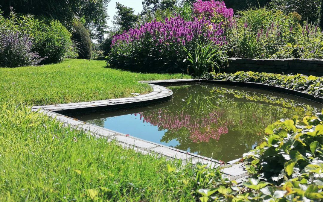 Offene Gartenpforte im Garten Wesser am 04.06.und 02.07.2023 von 12-18 Uhr